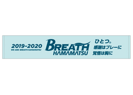 限定応援スポーツタオル