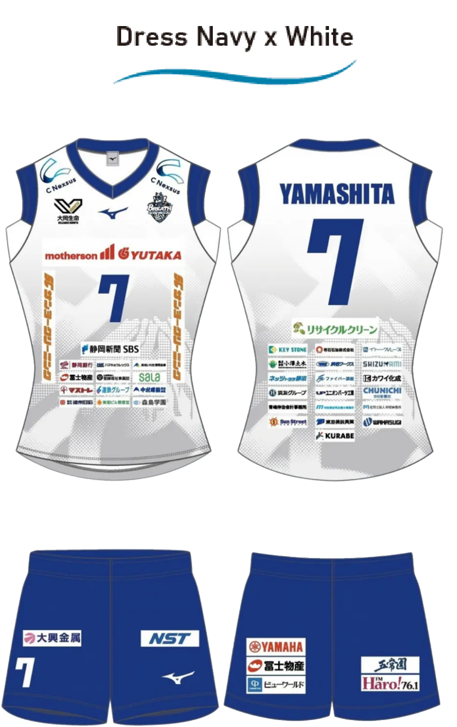 NavyWhite