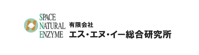 有限会社エス・エヌ・イー総合研究所